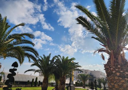 حالة الطقس: أجواء باردة والحرارة أقل من معدلها السنوي العام