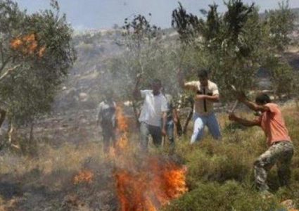 مستوطنون يحرقون متنزها و3 شاحنات في حوارة جنوب نابلس