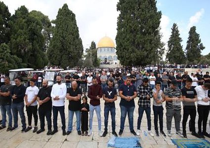 "لجنة المغتربين" في المجلس الوطني تؤكد محورية دور الجاليات في نضال الفلسطينيين