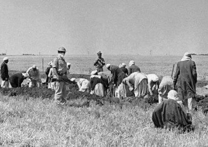 "هارتس" تكشف عن وثائق رسمية تؤكد تسميم الاحتلال آبار المياه في عكا وغزة عام 1948