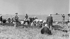 "هارتس" تكشف عن وثائق رسمية تؤكد تسميم الاحتلال آبار المياه في عكا وغزة عام 1948