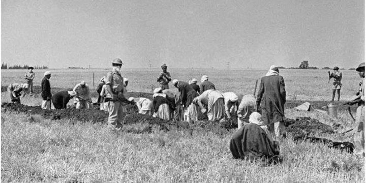 "هارتس" تكشف عن وثائق رسمية تؤكد تسميم الاحتلال آبار المياه في عكا وغزة عام 1948