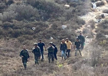 مستوطنون يعتدون على المزارعين أثناء قطفهم ثمار الزيتون شمال طولكرم