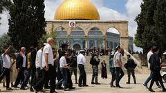 مئات المستوطنين  يقتحمون "الأقصى"