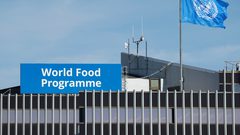 برنامج الأغذية العالمي: 1.78 مليون شخص بفلسطين يعانون انعدام الأمن الغذائي