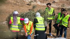 وكالة بيت مال القدس الشريف تختتم حملة "عونة" لدعم مزارعي القدس