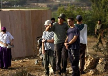 مستوطنون يعتدون على قاطفي الزيتون في تل الرميدة وسط الخليل