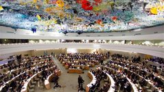 65  منظمة عالمية تطالب مفوض حقوق الإنسان بالعدالة للفلسطينيين