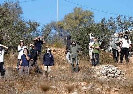 مستوطنون يهاجمون قاطفي ثمار الزيتون في عزموط