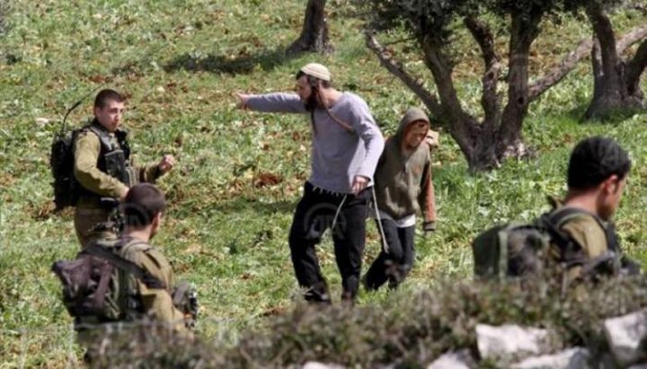 "هآرتس": أكثر من 100 اعتداء من قبل المستوطنين على الفلسطينيين في 10 أيام