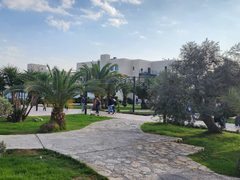 أجواء الصباح في جامعة النجاح بعد عودة الدوام الوجاهي