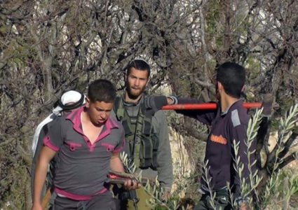 بيت لحم: الاحتلال يمنع مزارعين من قطف ثمار الزيتون في قرية الجبعة