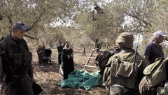 الاحتلال يعيق وصول قاطفي ثمار الزيتون إلى أراضيهم في سلفيت