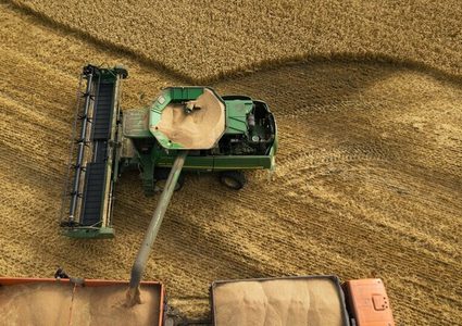 روسيا تتبرع للدول الفقيرة بـ500 ألف طن من الحبوب دون مقابل