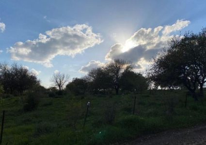 حالة الطقس: أجواء غائمة جزئيا وتوقع سقوط أمطار متفرقة