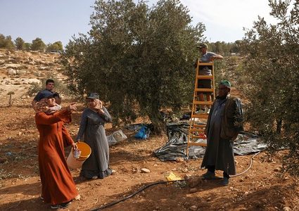 مستوطنون يهاجمون نساء يقطفن الزيتون والاحتلال يحتجز عددا من المزارعين في قريوت