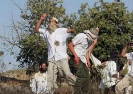 مستوطنون يهاجمون منازل وممتلكات المواطنين جنوب نابلس