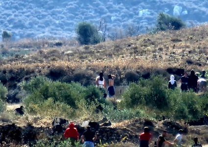 مستوطنون يهاجمون منازل المواطنين في مادما