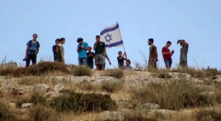 مستوطنون يرشون أشجار زيتون بمواد كيماوية جنوب نابلس
