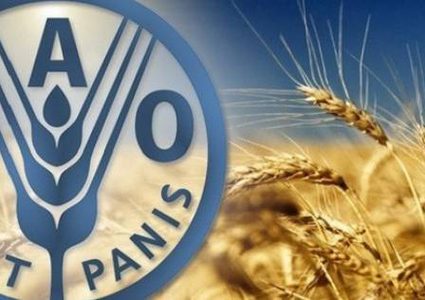 منظمة الأغذية والزراعة: ارتفاع الفاتورة العالمية للواردات الغذائية في 2022