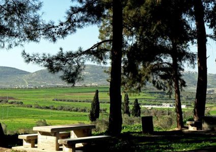 مستوطنون يقتحمون منطقة المسعودية شمال غرب نابلس