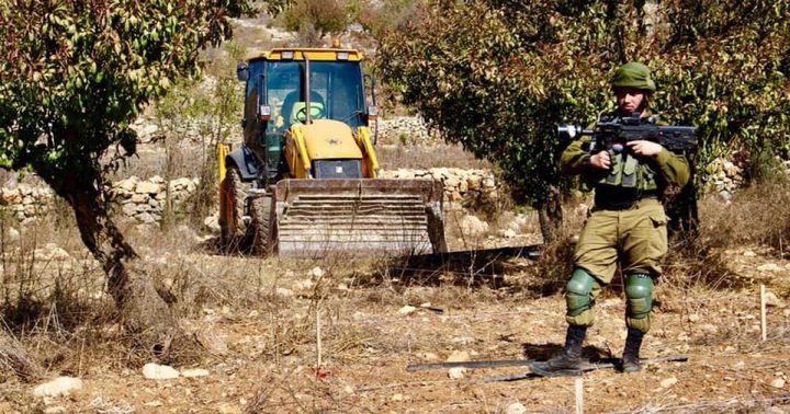 بيت لحم : الاحتلال يقطع أشجارا حرجية في المقبرة الاسلامية