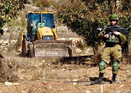 بيت لحم : الاحتلال يقطع أشجارا حرجية في المقبرة الاسلامية
