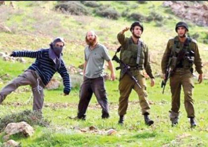 مستوطنون يزرعون أشجارا ويقيمون "بركسات" في أراضي بروقين غرب سلفيت