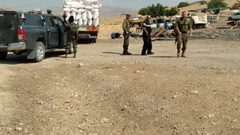 قوات الاحتلال تستولي على 12 رأس بقر في الأغوار