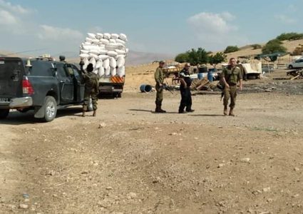 قوات الاحتلال تستولي على 12 رأس بقر في الأغوار