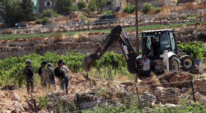 سلطات الاحتلال دمر ت نحو 13 ألف شجرة زيتون منذ مطلع العام