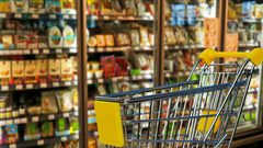 الجهاز المركزي:تباين أسعار المنتج الشهر الماضي