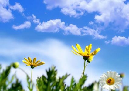 حالة الطقس: أجواء صافية ولطيفة والحرارة أعلى من معدلها السنوي