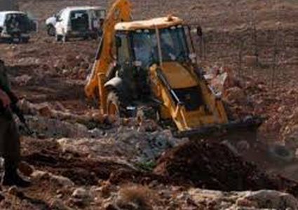 يوم عمل زراعي لتعزيز صمود المواطنين بمسافر يطا