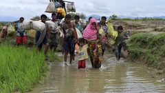 إنقاذ أكثر من 100 لاجئ من الروهينجا في مياه سريلانكا