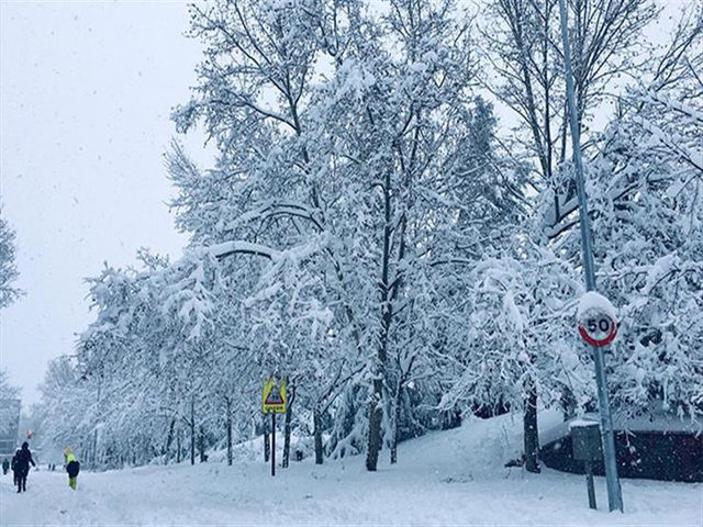 عاصفة ثلجية تحتاح الولايات المتحدة