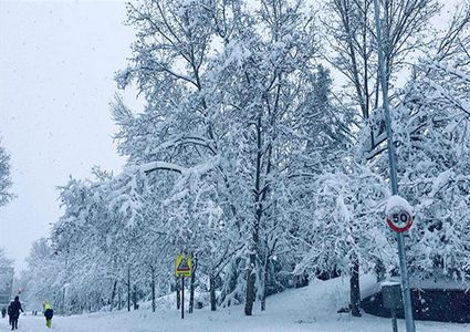 عاصفة ثلجية تحتاح الولايات المتحدة