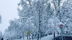 عاصفة ثلجية تحتاح الولايات المتحدة