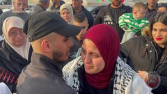 29 اسيرة في سجون الاحتلال