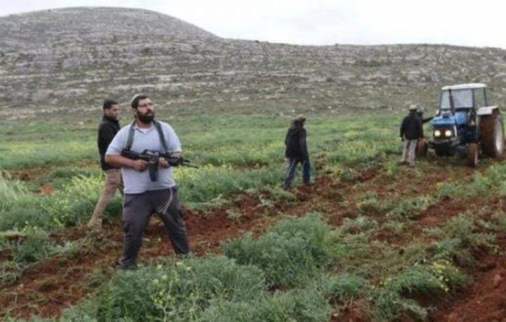 مستوطنون يدمرون مخزنا زراعيا جنوب طولكرم