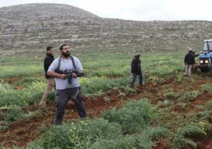 مستوطنون يدمرون مخزنا زراعيا جنوب طولكرم