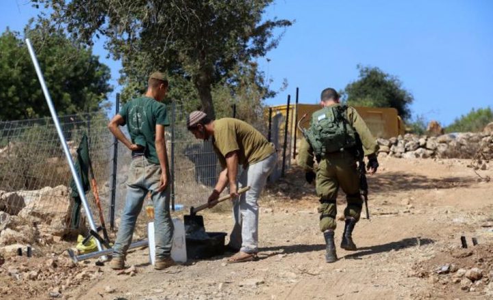 مستوطنون يسيجون أراضي في الأغوار تمهيدا للاستيلاء عليها