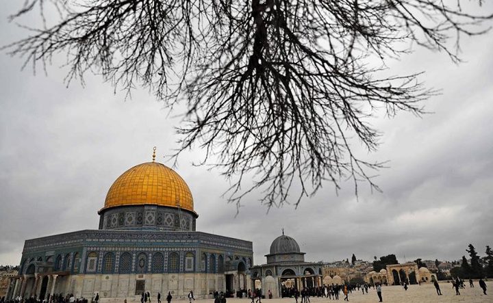 المصري: الحالة الجوية في المنطقة جافة وبعيدة عن تأثير المنخفضات