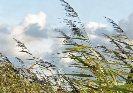 المصري: أجواء شديدة البرودة و انخفاض على درجات الحرارة