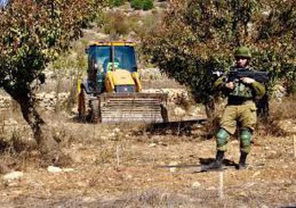 الاحتلال يصيب شابين ويعتقل آخرين ومستوطن يستولي على 10 دونمات جنوب الخليل