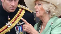 الأمير هاري يروي ما فعلته زوجة والده من أجل التاج الملكي