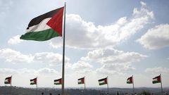 العفو الدولية:منع رفع العلم الفلسطيني محاولة لطمس هوية شعب ومخالف لحقوق الإنسان