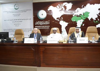 "التعاون الإسلامي" تطالب مجلس الأمن بالتحرك العاجل لردع التصعيد الإسرائيلي