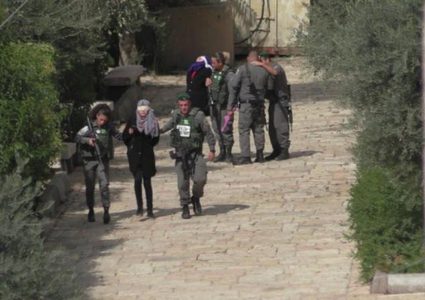 الاحتلال يعتقل فتاة من الخليل