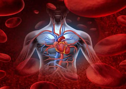 دراسة: النمط الغذائي يؤثر على الأوعية الدموية و"الأمراض الرئيسية"